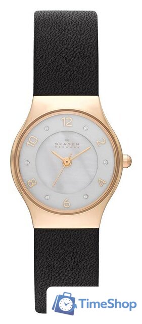 Наручные часы Skagen SKW2209 - Изображение №2 — Интернет-магазин Time-Shop