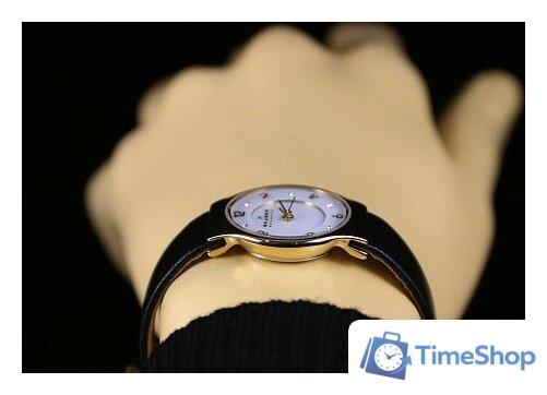 Наручные часы Skagen SKW2209 - Изображение №13 — Интернет-магазин Time-Shop