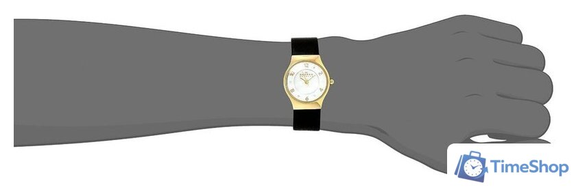 Наручные часы Skagen SKW2209 - Изображение №8 — Интернет-магазин Time-Shop