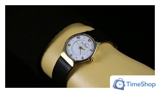 Наручные часы Skagen SKW2209 - Изображение №12 — Интернет-магазин Time-Shop