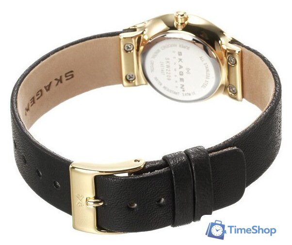 Наручные часы Skagen SKW2209 - Изображение №4 — Интернет-магазин Time-Shop