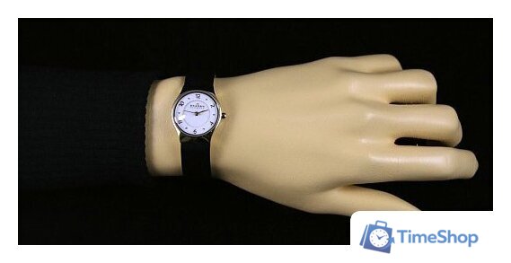 Наручные часы Skagen SKW2209 - Изображение №10 — Интернет-магазин Time-Shop