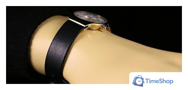 Наручные часы Skagen SKW2209 - Изображение №15 — Интернет-магазин Time-Shop