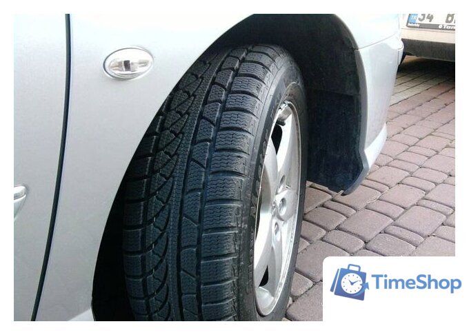 Зимние шины Petlas SnowMaster W651 235/40R18 95V - Изображение №4 — Интернет-магазин Time-Shop