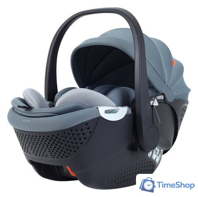 Детское автокресло Rant Aster Zero AY378 (графитовый) - Изображение №1 — Интернет-магазин Time-Shop