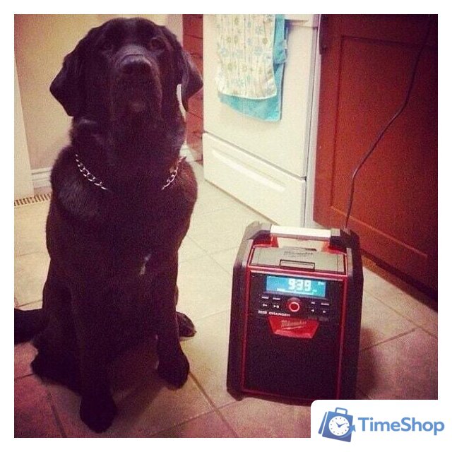 Зарядное устройство Milwaukee M18 RC-0 4933446639 (18В) - Изображение №10 — Интернет-магазин Time-Shop