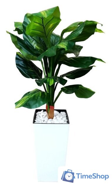Искусственное растение Forgarden Диффенбахия BN11128 - Изображение №1 — Интернет-магазин Time-Shop