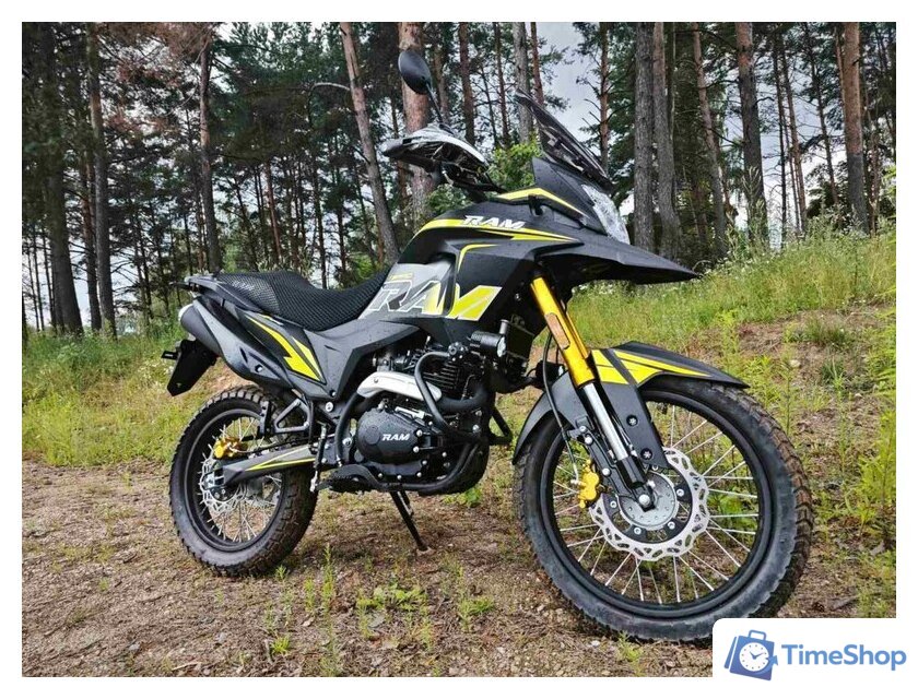Мотоцикл RAM TE PR PRO (желтый/черный) - Изображение №5 — Интернет-магазин Time-Shop