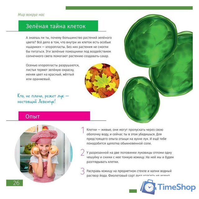 Микроскоп Levenhuk Discovery Nano Gravity с книгой 77959 - Изображение №7 — Интернет-магазин Time-Shop