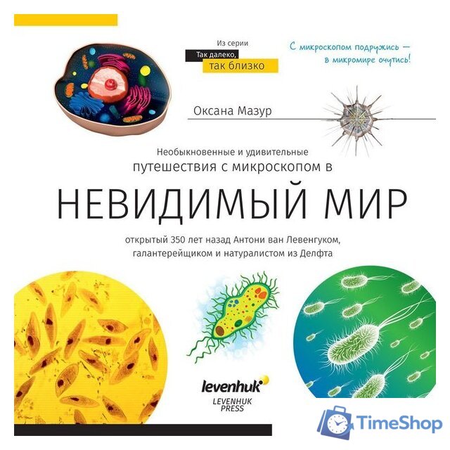 Микроскоп Levenhuk Discovery Nano Gravity с книгой 77959 - Изображение №5 — Интернет-магазин Time-Shop