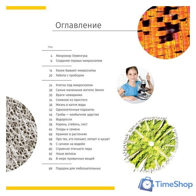 Микроскоп Levenhuk Discovery Nano Gravity с книгой 77959 - Изображение №6 — Интернет-магазин Time-Shop