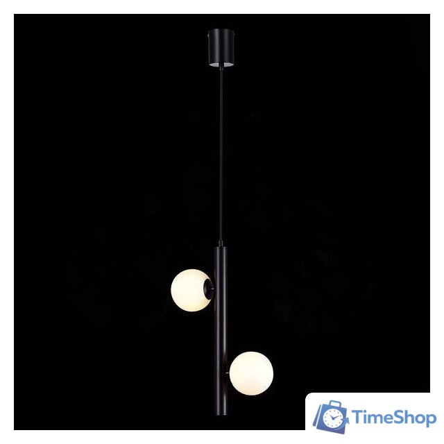 Точечный светильник ST Luce SL1185.403.02 - Изображение №1 — Интернет-магазин Time-Shop