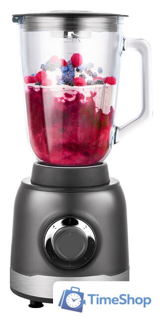 Стационарный блендер CENTEK CT-1326 - Изображение №1 — Интернет-магазин Time-Shop