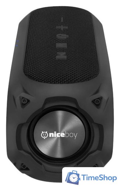 Беспроводная колонка Niceboy Raze 3 Radion - Изображение №2 — Интернет-магазин Time-Shop