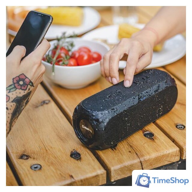 Беспроводная колонка Niceboy Raze 3 Radion - Изображение №11 — Интернет-магазин Time-Shop