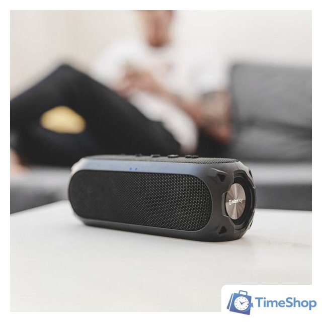 Беспроводная колонка Niceboy Raze 3 Radion - Изображение №6 — Интернет-магазин Time-Shop