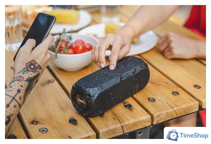 Беспроводная колонка Niceboy Raze 3 Radion - Изображение №8 — Интернет-магазин Time-Shop