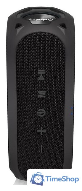 Беспроводная колонка Niceboy Raze 3 Radion - Изображение №5 — Интернет-магазин Time-Shop