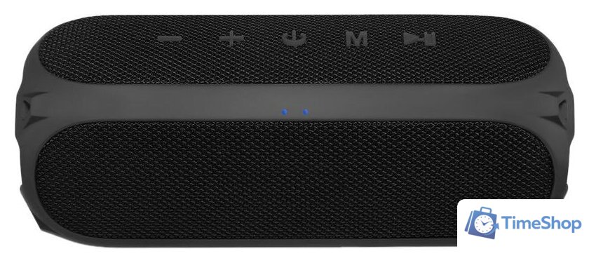 Беспроводная колонка Niceboy Raze 3 Radion - Изображение №3 — Интернет-магазин Time-Shop
