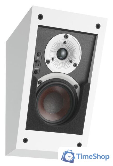 Внешний модуль объемного звука DALI Alteco C-1 (белый) - Изображение №1 — Интернет-магазин Time-Shop