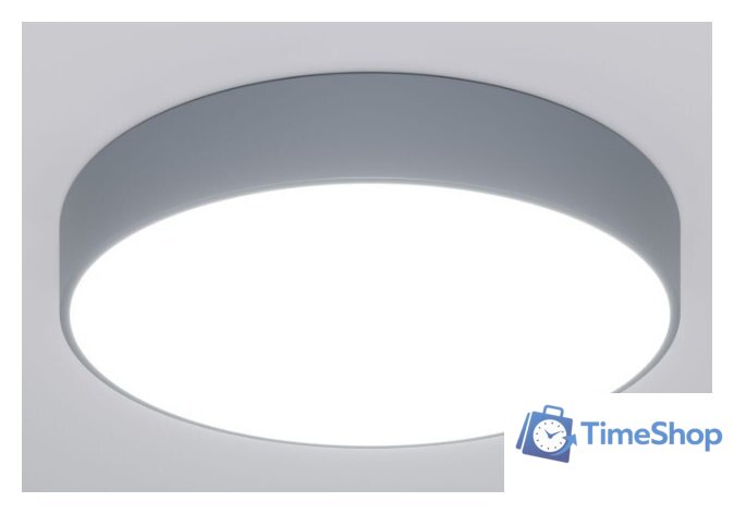 Светильник-тарелка Евросвет 90319/1 серый - Изображение №1 — Интернет-магазин Time-Shop