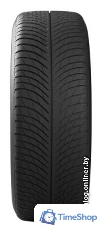 Зимние шины Michelin Pilot Alpin 5 SUV 275/50R21 113V - Изображение №2 — Интернет-магазин Time-Shop