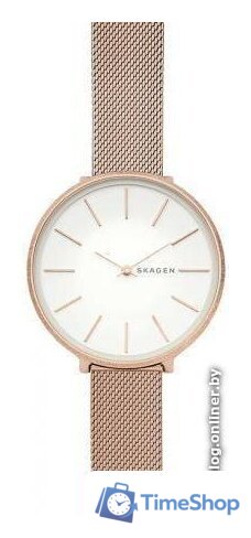 Наручные часы Skagen SKW2726 - Изображение №1 — Интернет-магазин Time-Shop