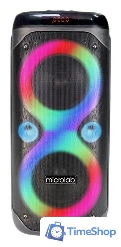 Патибокс Microlab PT800 - Изображение №1 — Интернет-магазин Time-Shop