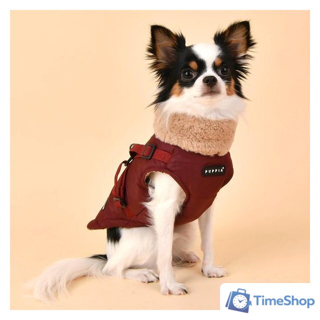 Куртка для животных Puppia Donavan PAUD-VT1853-WN-S (красный) - Изображение №3 — Интернет-магазин Time-Shop
