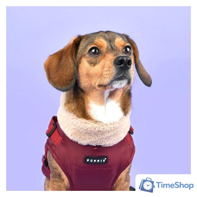 Куртка для животных Puppia Donavan PAUD-VT1853-WN-S (красный) - Изображение №4 — Интернет-магазин Time-Shop