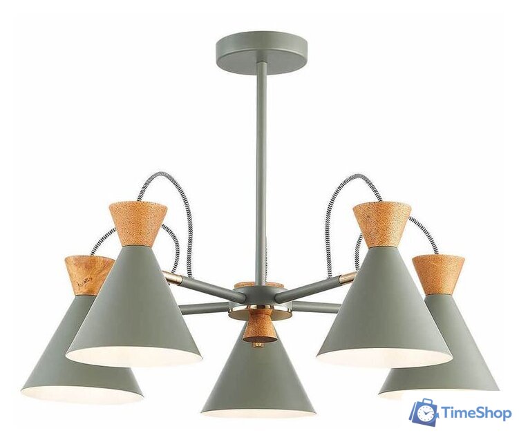 Люстра средней высоты Evoluce Modica SLE125112-05 - Изображение №1 — Интернет-магазин Time-Shop