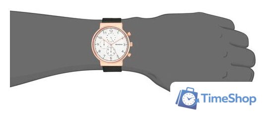 Наручные часы Skagen SKW6371 - Изображение №7 — Интернет-магазин Time-Shop