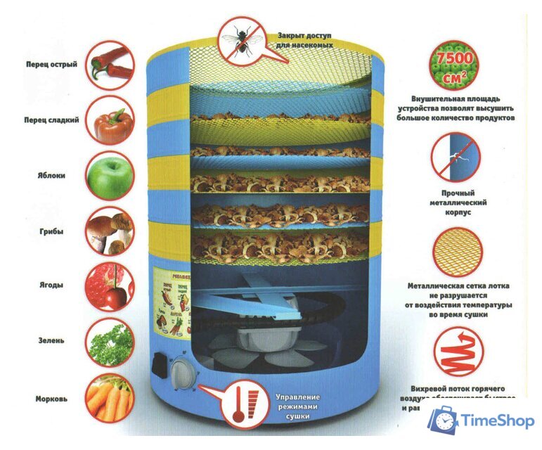 Сушилка для овощей и фруктов Элвин СУ-1 - Изображение №2 — Интернет-магазин Time-Shop