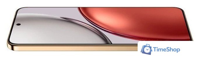 Телефон HONOR X9d 8GB/256GB международная версия (терракотовый) - Изображение №3 — Интернет-магазин Time-Shop