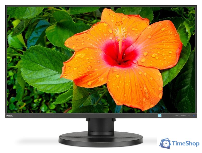 Монитор NEC MultiSync E271N-BK - Изображение №1 — Интернет-магазин Time-Shop