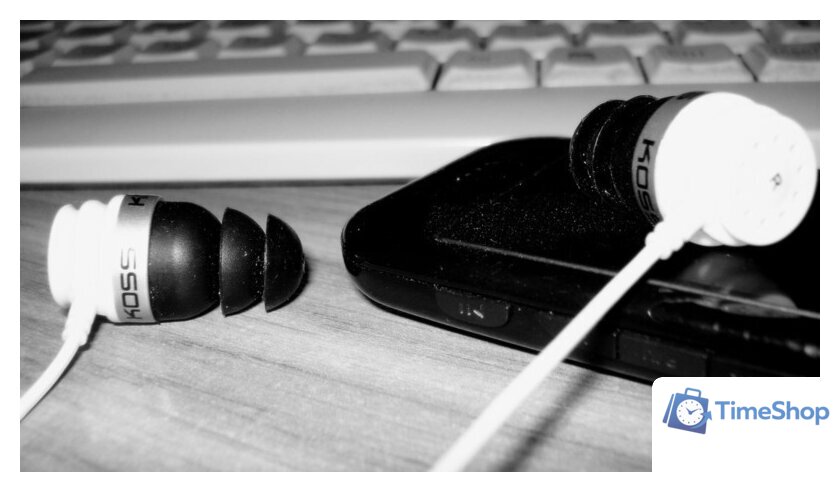 Наушники KOSS Spark Plug (PathFinder) - Изображение №6 — Интернет-магазин Time-Shop