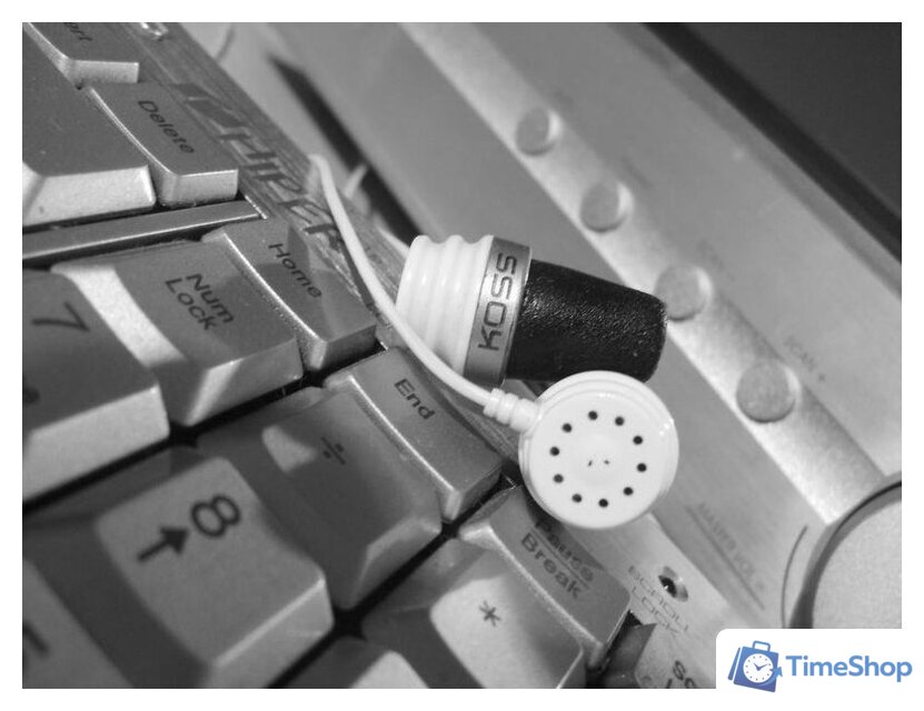 Наушники KOSS Spark Plug (PathFinder) - Изображение №16 — Интернет-магазин Time-Shop