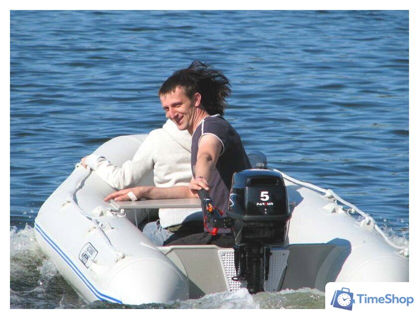 Лодочный мотор Parsun F5 BMS - Изображение №4 — Интернет-магазин Time-Shop