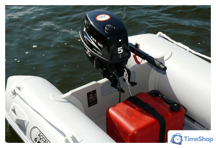 Лодочный мотор Parsun F5 BMS - Изображение №3 — Интернет-магазин Time-Shop