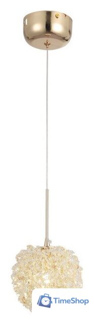 Подвесная люстра Lussole Appling LSP-8736 - Изображение №1 — Интернет-магазин Time-Shop