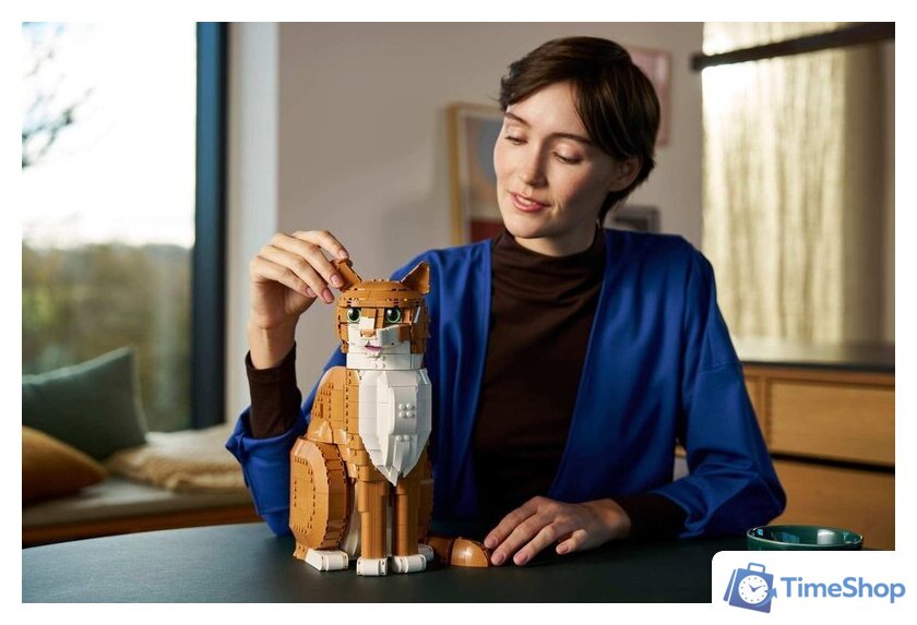 Конструктор LEGO Ideas 21376 Рыжий кот - Изображение №8 — Интернет-магазин Time-Shop