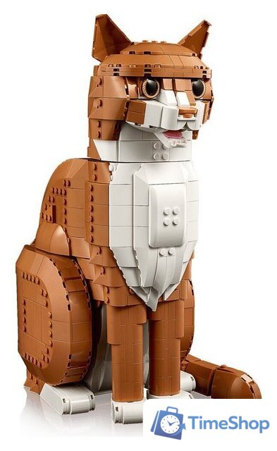 Конструктор LEGO Ideas 21376 Рыжий кот - Изображение №6 — Интернет-магазин Time-Shop