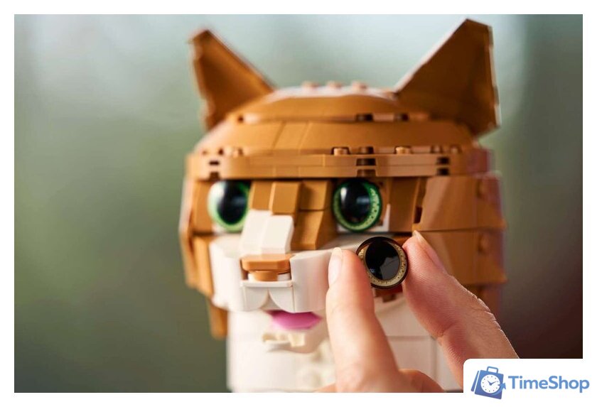 Конструктор LEGO Ideas 21376 Рыжий кот - Изображение №12 — Интернет-магазин Time-Shop