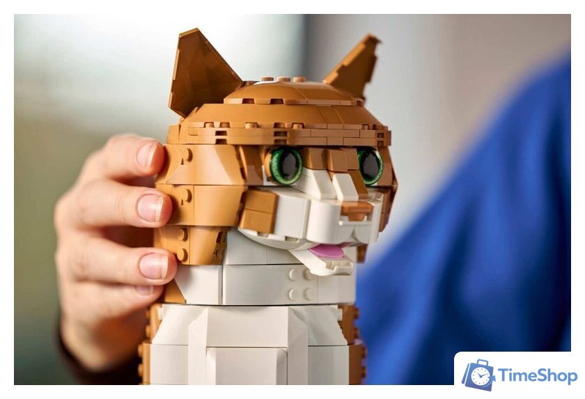 Конструктор LEGO Ideas 21376 Рыжий кот - Изображение №11 — Интернет-магазин Time-Shop