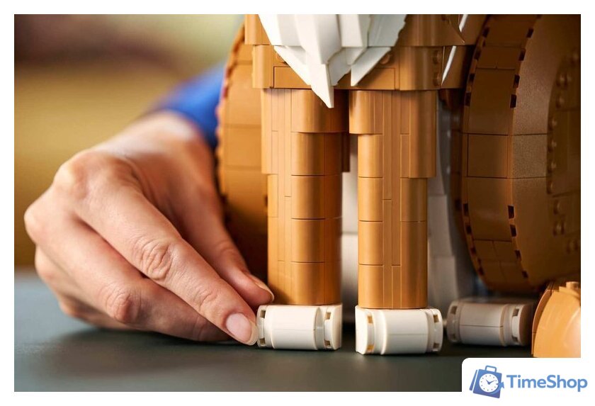 Конструктор LEGO Ideas 21376 Рыжий кот - Изображение №10 — Интернет-магазин Time-Shop