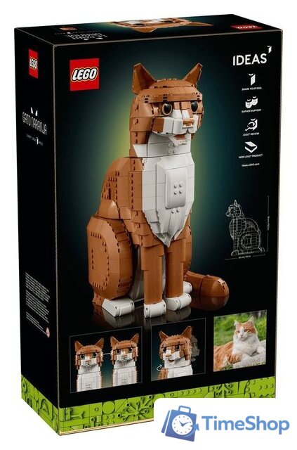 Конструктор LEGO Ideas 21376 Рыжий кот - Изображение №15 — Интернет-магазин Time-Shop