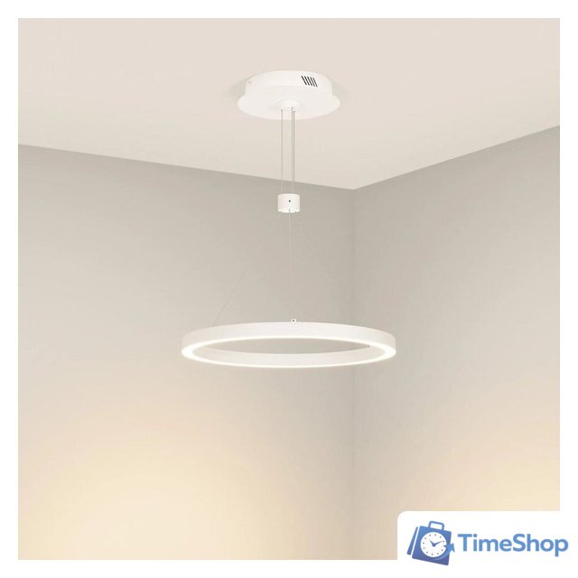 Подвесная люстра Arlight SP-Congo-Can-1-R400-24W Warm3000 046212 - Изображение №3 — Интернет-магазин Time-Shop