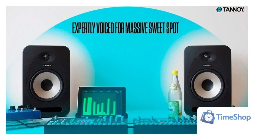 Монитор ближнего поля Tannoy Reveal 402 - Изображение №13 — Интернет-магазин Time-Shop