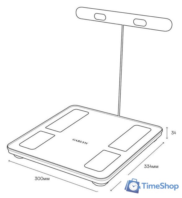 Умные напольные весы Garlyn Bodyscan Master - Изображение №7 — Интернет-магазин Time-Shop