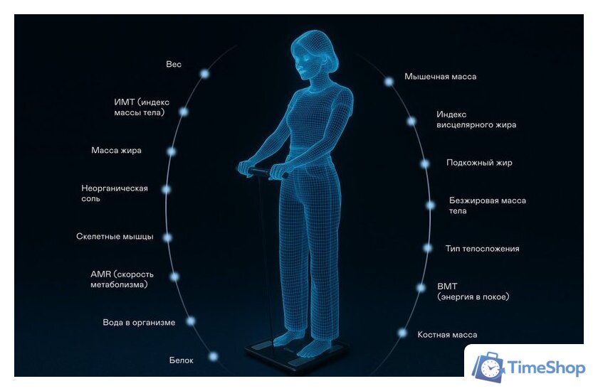 Умные напольные весы Garlyn Bodyscan Master - Изображение №8 — Интернет-магазин Time-Shop